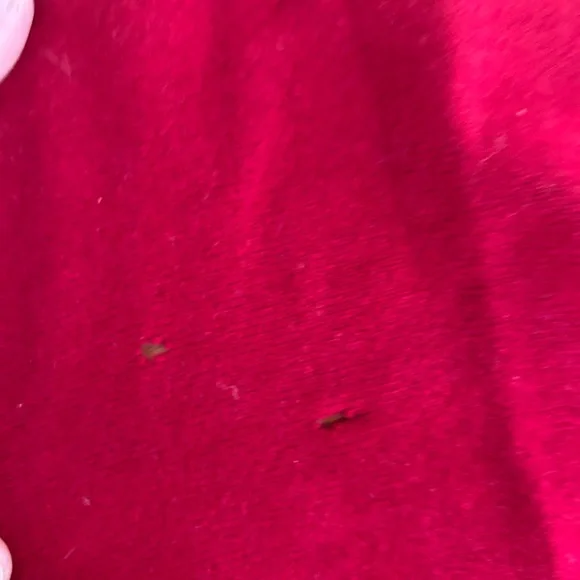 Elegant Red Cashmere Wrap - Picture 3 of 3